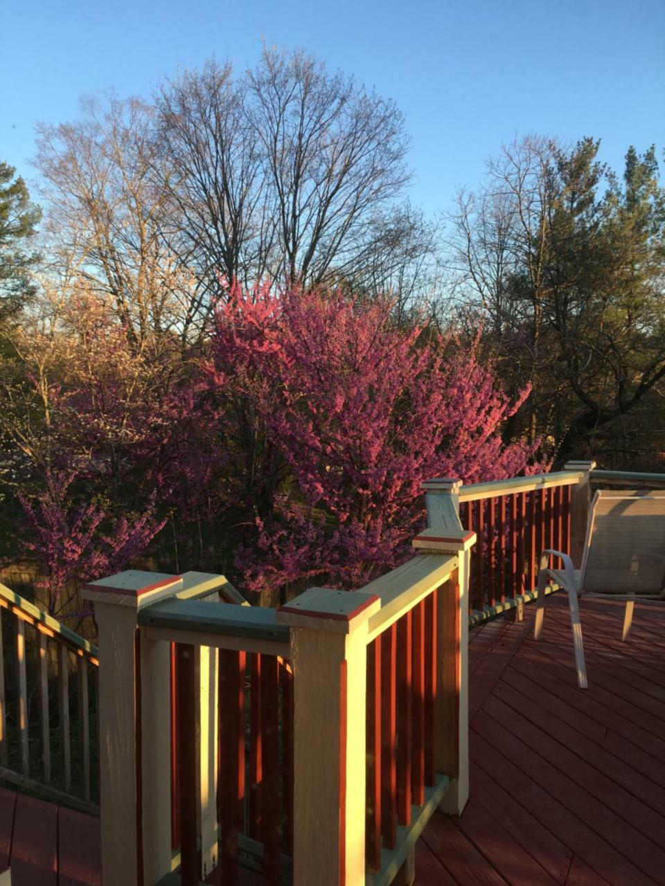 Jonesborough Bed And Breakfast Exterior photo